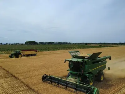Cosechadora segando cereal con un tractor y un remolque de grano al lado