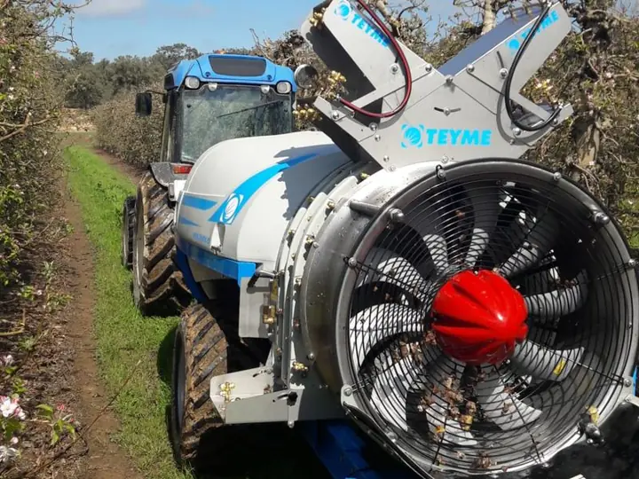 Tractor con atomizador tratando entre hileras de manzanos en flor