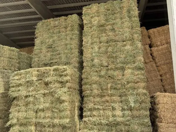Pacas de alfalfa almacenadas en un cobertizo